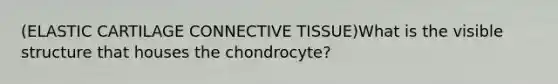 (ELASTIC CARTILAGE CONNECTIVE TISSUE)What is the visible structure that houses the chondrocyte?