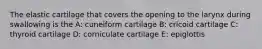 The elastic cartilage that covers the opening to the larynx during swallowing is the A: cuneiform cartilage B: cricoid cartilage C: thyroid cartilage D: corniculate cartilage E: epiglottis