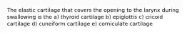 The elastic cartilage that covers the opening to the larynx during swallowing is the a) thyroid cartilage b) epiglottis c) cricoid cartilage d) cuneiform cartilage e) corniculate cartilage