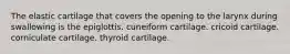 The elastic cartilage that covers the opening to the larynx during swallowing is the epiglottis. cuneiform cartilage. cricoid cartilage. corniculate cartilage. thyroid cartilage.