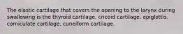 The elastic cartilage that covers the opening to the larynx during swallowing is the thyroid cartilage. cricoid cartilage. epiglottis. corniculate cartilage. cuneiform cartilage.