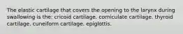 The elastic cartilage that covers the opening to the larynx during swallowing is the: cricoid cartilage. corniculate cartilage. thyroid cartilage. cuneiform cartilage. epiglottis.