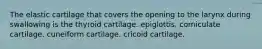 The elastic cartilage that covers the opening to the larynx during swallowing is the thyroid cartilage. epiglottis. corniculate cartilage. cuneiform cartilage. cricoid cartilage.