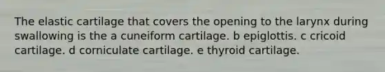 The elastic cartilage that covers the opening to the larynx during swallowing is the a cuneiform cartilage. b epiglottis. c cricoid cartilage. d corniculate cartilage. e thyroid cartilage.