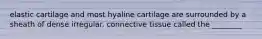 elastic cartilage and most hyaline cartilage are surrounded by a sheath of dense irregular. connective tissue called the ________