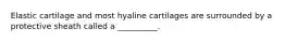 Elastic cartilage and most hyaline cartilages are surrounded by a protective sheath called a __________.