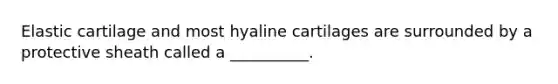 Elastic cartilage and most hyaline cartilages are surrounded by a protective sheath called a __________.