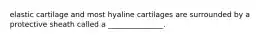 elastic cartilage and most hyaline cartilages are surrounded by a protective sheath called a _______________.