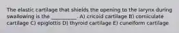 The elastic cartilage that shields the opening to the larynx during swallowing is the __________. A) cricoid cartilage B) corniculate cartilage C) epiglottis D) thyroid cartilage E) cuneiform cartilage