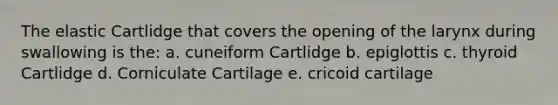 The elastic Cartlidge that covers the opening of the larynx during swallowing is the: a. cuneiform Cartlidge b. epiglottis c. thyroid Cartlidge d. Corniculate Cartilage e. cricoid cartilage