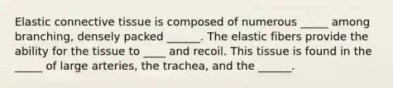 Elastic connective tissue is composed of numerous _____ among branching, densely packed ______. The elastic fibers provide the ability for the tissue to ____ and recoil. This tissue is found in the _____ of large arteries, the trachea, and the ______.