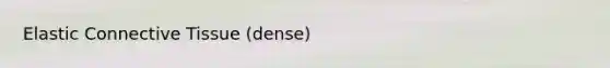 Elastic Connective Tissue (dense)