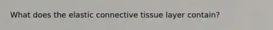 What does the elastic connective tissue layer contain?