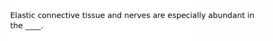 Elastic connective tissue and nerves are especially abundant in the ____.