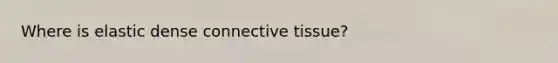 Where is elastic dense connective tissue?