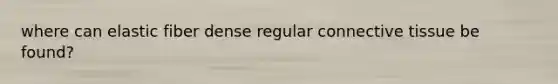 where can elastic fiber dense regular connective tissue be found?