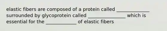 elastic fibers are composed of a protein called ______________ surrounded by glycoprotein called ________________ which is essential for the _____________ of elastic fibers