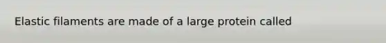 Elastic filaments are made of a large protein called