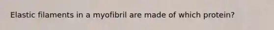 Elastic filaments in a myofibril are made of which protein?