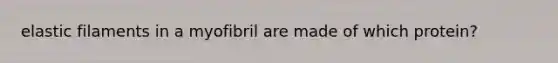 elastic filaments in a myofibril are made of which protein?
