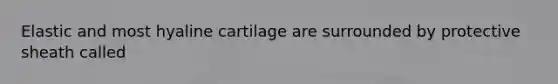 Elastic and most hyaline cartilage are surrounded by protective sheath called