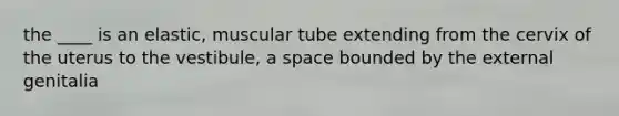 the ____ is an elastic, muscular tube extending from the cervix of the uterus to the vestibule, a space bounded by the external genitalia