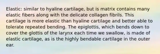 Elastic: similar to hyaline cartilage, but is matrix contains many elastic fibers along with the delicate collagen fibrils. This cartilage is more elastic than hyaline cartilage and better able to tolerate repeated bending. The epiglottis, which bends down to cover the glottis of the larynx each time we swallow, is made of elastic cartilage, as is the highly bendable cartilage in the outer ear.