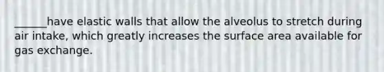 ______have elastic walls that allow the alveolus to stretch during air intake, which greatly increases the <a href='https://www.questionai.com/knowledge/kEtsSAPENL-surface-area' class='anchor-knowledge'>surface area</a> available for <a href='https://www.questionai.com/knowledge/kU8LNOksTA-gas-exchange' class='anchor-knowledge'>gas exchange</a>.