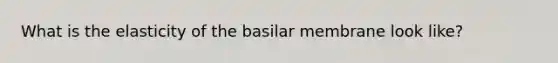 What is the elasticity of the basilar membrane look like?