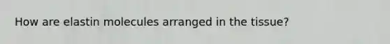 How are elastin molecules arranged in the tissue?