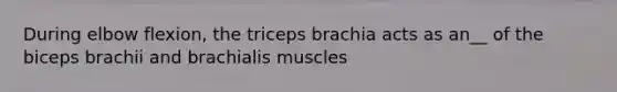 During elbow flexion, the triceps brachia acts as an__ of the biceps brachii and brachialis muscles