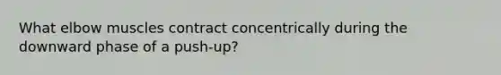 What elbow muscles contract concentrically during the downward phase of a push-up?