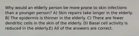 Why would an elderly person be more prone to skin infections than a younger person? A) Skin repairs take longer in the elderly. B) The epidermis is thinner in the elderly. C) There are fewer dendritic cells in the skin of the elderly. D) Basal cell activity is reduced in the elderly.E) All of the answers are correct.