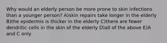 Why would an elderly person be more prone to skin infections than a younger person? A)skin repairs take longer in the elderly B)the epidermis is thicker in the elderly C)there are fewer dendritic cells in the skin of the elderly D)all of the above E)A and C only