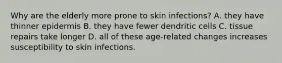 Why are the elderly more prone to skin infections? A. they have thinner epidermis B. they have fewer dendritic cells C. tissue repairs take longer D. all of these age-related changes increases susceptibility to skin infections.