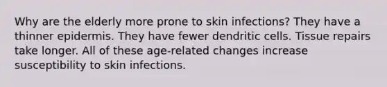 Why are the elderly more prone to skin infections? They have a thinner epidermis. They have fewer dendritic cells. Tissue repairs take longer. All of these age-related changes increase susceptibility to skin infections.