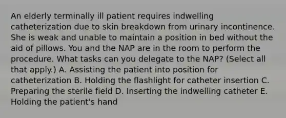 An elderly terminally ill patient requires indwelling catheterization due to skin breakdown from urinary incontinence. She is weak and unable to maintain a position in bed without the aid of pillows. You and the NAP are in the room to perform the procedure. What tasks can you delegate to the NAP? (Select all that apply.) A. Assisting the patient into position for catheterization B. Holding the flashlight for catheter insertion C. Preparing the sterile field D. Inserting the indwelling catheter E. Holding the patient's hand