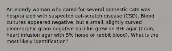 An elderly woman who cared for several domestic cats was hospitalized with suspected cat-scratch disease (CSD). Blood cultures appeared negative, but a small, slightly curved pleomorphic gram-negative bacillus grew on BHI agar (brain, heart infusion agar with 5% horse or rabbit blood). What is the most likely identification?