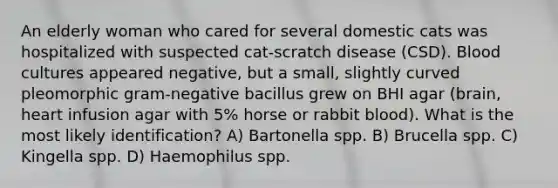 An elderly woman who cared for several domestic cats was hospitalized with suspected cat-scratch disease (CSD). Blood cultures appeared negative, but a small, slightly curved pleomorphic gram-negative bacillus grew on BHI agar (brain, heart infusion agar with 5% horse or rabbit blood). What is the most likely identification? A) Bartonella spp. B) Brucella spp. C) Kingella spp. D) Haemophilus spp.