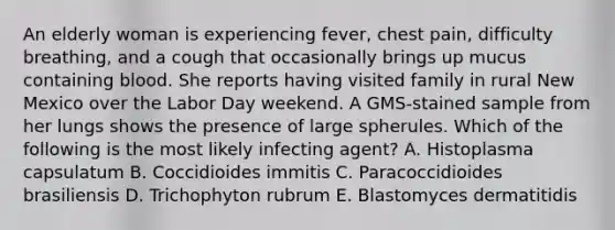 An elderly woman is experiencing fever, chest pain, difficulty breathing, and a cough that occasionally brings up mucus containing blood. She reports having visited family in rural New Mexico over the Labor Day weekend. A GMS-stained sample from her lungs shows the presence of large spherules. Which of the following is the most likely infecting agent? A. Histoplasma capsulatum B. Coccidioides immitis C. Paracoccidioides brasiliensis D. Trichophyton rubrum E. Blastomyces dermatitidis