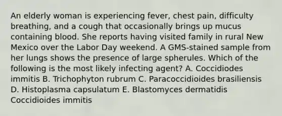 An elderly woman is experiencing fever, chest pain, difficulty breathing, and a cough that occasionally brings up mucus containing blood. She reports having visited family in rural New Mexico over the Labor Day weekend. A GMS-stained sample from her lungs shows the presence of large spherules. Which of the following is the most likely infecting agent? A. Coccidiodes immitis B. Trichophyton rubrum C. Paracoccidioides brasiliensis D. Histoplasma capsulatum E. Blastomyces dermatidis Coccidioides immitis