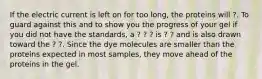 If the electric current is left on for too long, the proteins will ?. To guard against this and to show you the progress of your gel if you did not have the standards, a ? ? ? is ? ? and is also drawn toward the ? ?. Since the dye molecules are smaller than the proteins expected in most samples, they move ahead of the proteins in the gel.