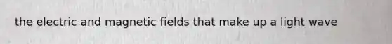 the electric and magnetic fields that make up a light wave