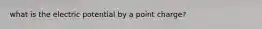 what is the electric potential by a point charge?