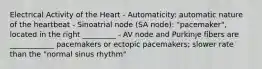 Electrical Activity of the Heart - Automaticity: automatic nature of the heartbeat - Sinoatrial node (SA node): "pacemaker", located in the right _________ - AV node and Purkinje fibers are ____________ pacemakers or ectopic pacemakers; slower rate than the "normal sinus rhythm"