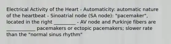 Electrical Activity of <a href='https://www.questionai.com/knowledge/kya8ocqc6o-the-heart' class='anchor-knowledge'>the heart</a> - Automaticity: automatic nature of the heartbeat - Sinoatrial node (SA node): "pacemaker", located in the right _________ - AV node and Purkinje fibers are ____________ pacemakers or ectopic pacemakers; slower rate than the "normal sinus rhythm"