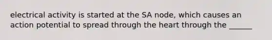 electrical activity is started at the SA node, which causes an action potential to spread through the heart through the ______