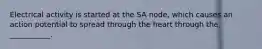 Electrical activity is started at the SA node, which causes an action potential to spread through the heart through the ___________.