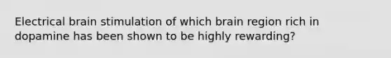 Electrical brain stimulation of which brain region rich in dopamine has been shown to be highly rewarding?