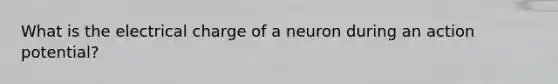 What is the electrical charge of a neuron during an action potential?